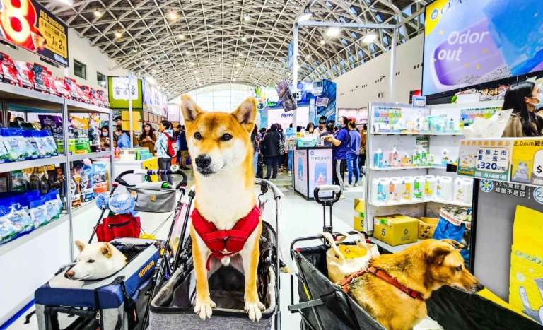 台灣寵物展覽