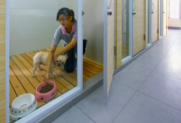 寵物寄宿家庭推薦