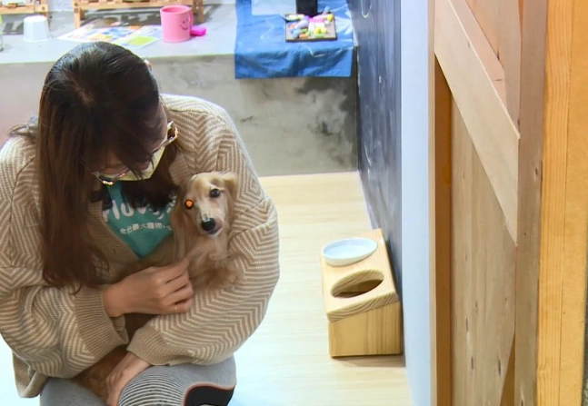 到府寵物照顧價格