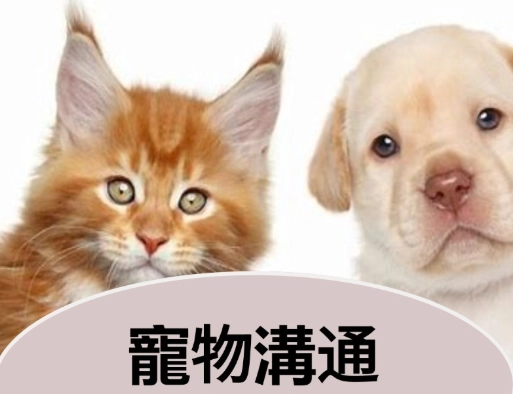 離世寵物溝通問題