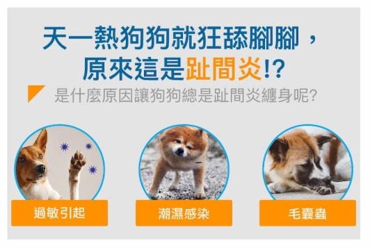 寵物皮膚炎藥膏