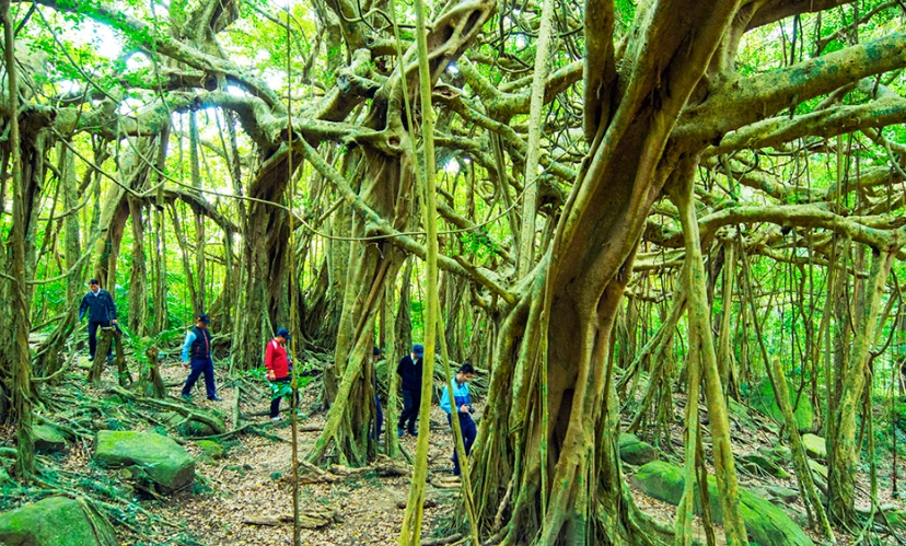 森林遊樂區推薦
