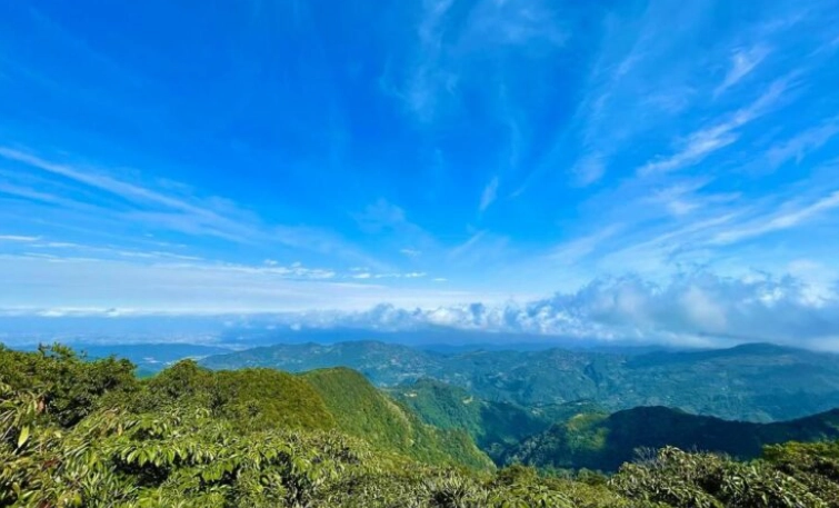 森林遊樂區門票