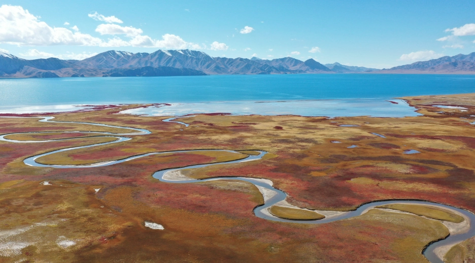 森林遊樂區與國家公園比較