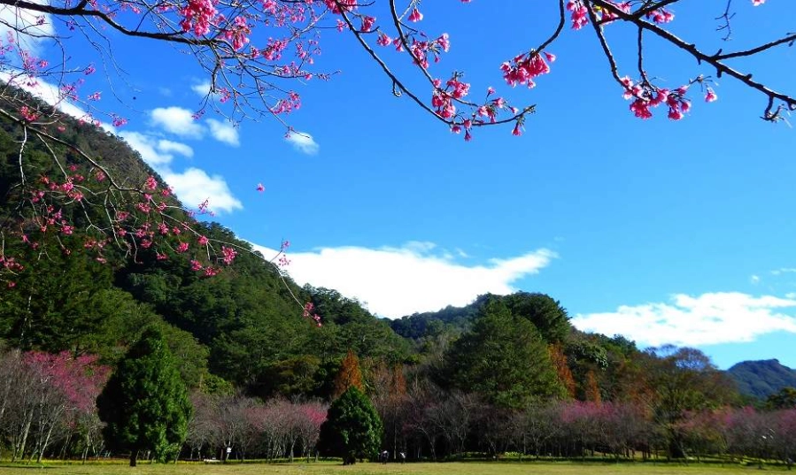 台灣國家森林遊樂區列表
