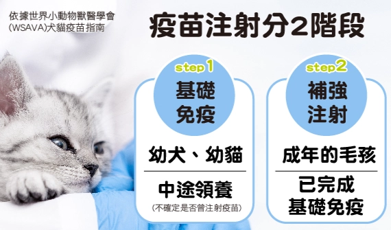 貓瘟疫苗接種