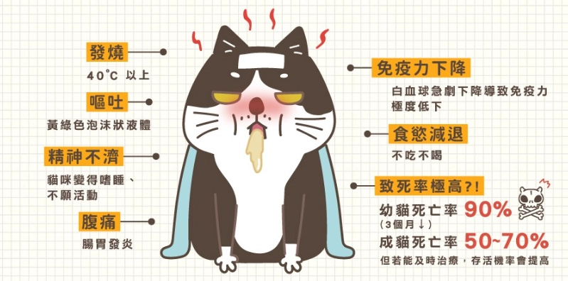 貓瘟症狀