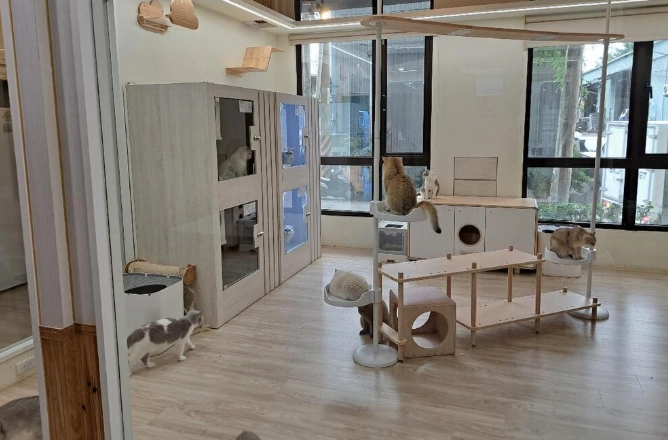 寵物寄宿家庭推薦