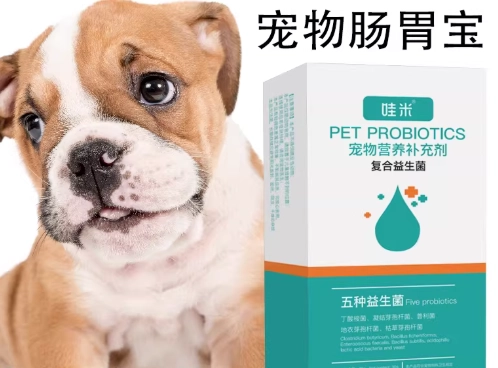 狗腸胃保健
