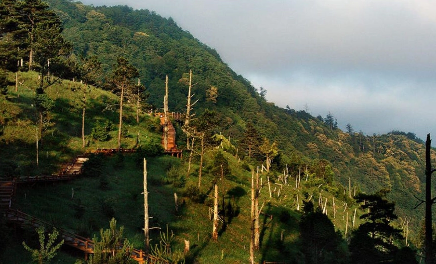 國家森林遊樂區介紹