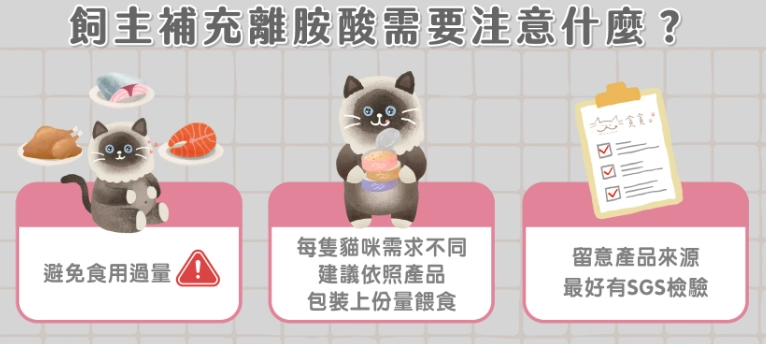 貓離胺酸餵食方法