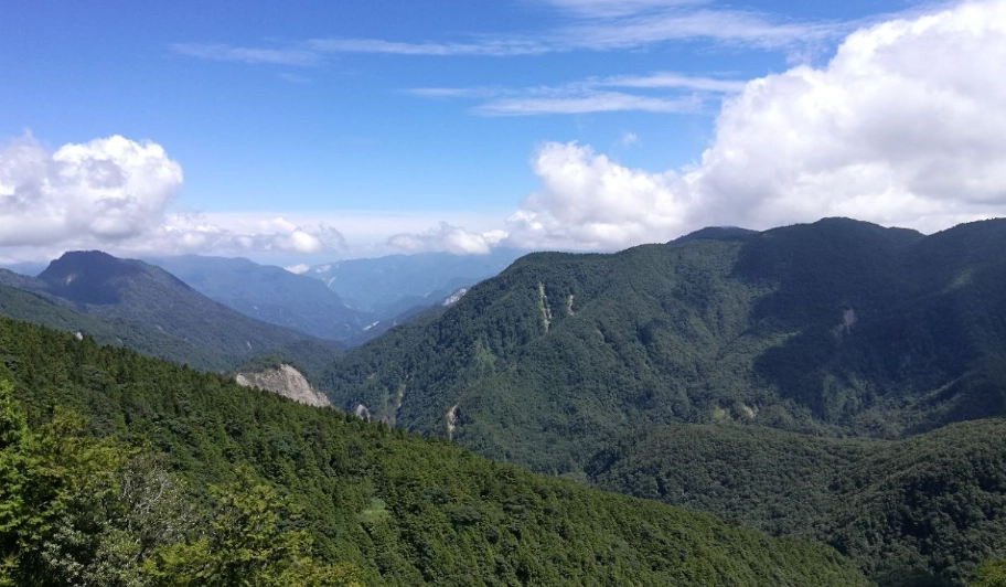 森林遊樂區推薦