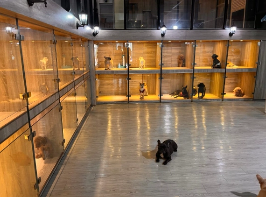 台湾宠物旅馆申请