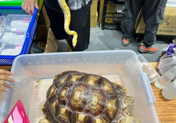 台南寵物用品展