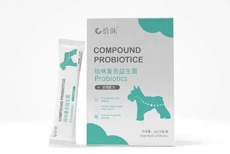 益生菌對狗的好處