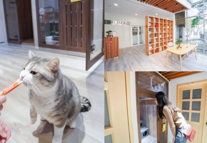 新竹寵物旅館推薦