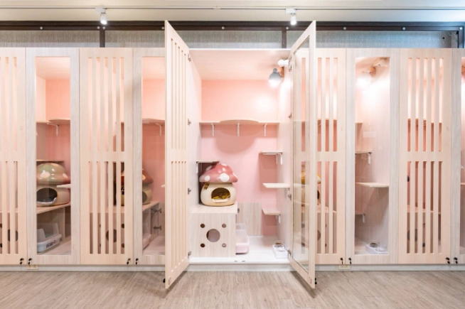 新竹狗貓住宿費用