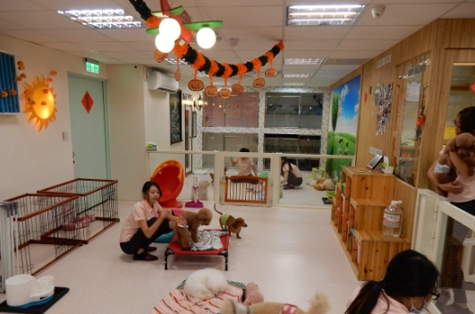 台湾宠物旅馆申请