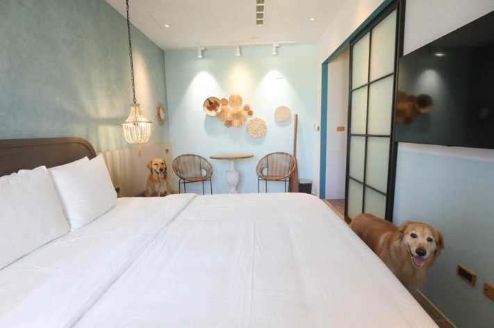 寵物友善飯店台灣