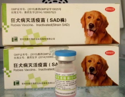 狂犬病疫苗保護期