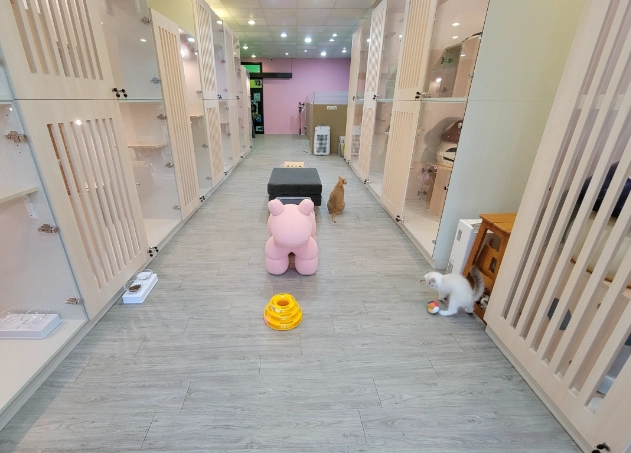 新竹狗貓住宿費用