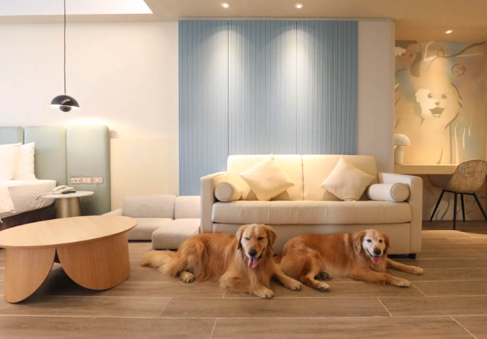 五星級寵物住宿