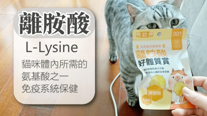 離胺酸劑量計算