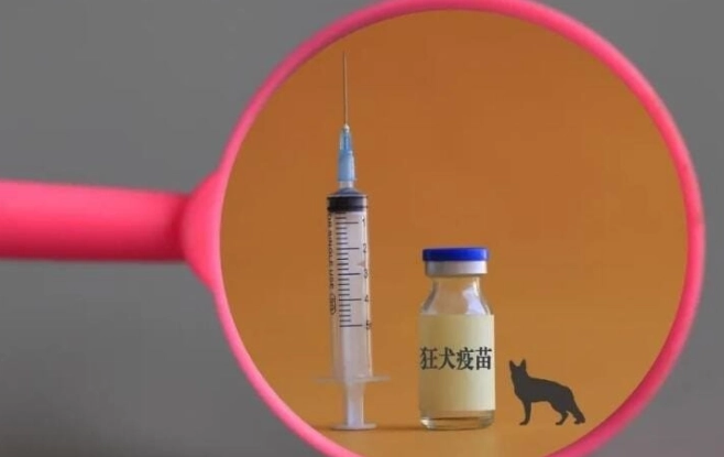 疫苗副作用處理