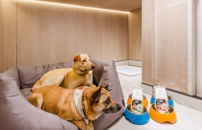 寵物寄宿家庭推薦