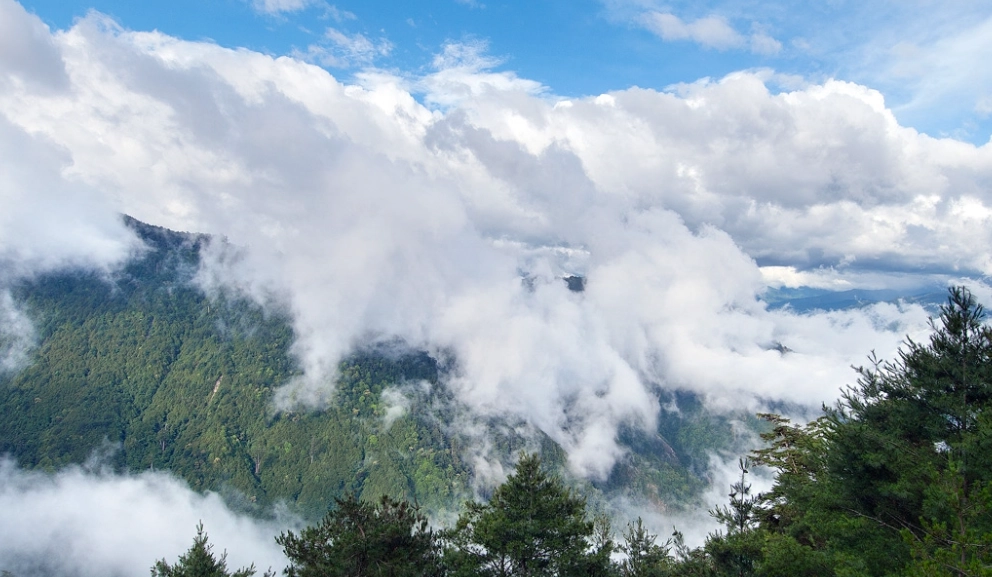 國家森林遊樂區介紹