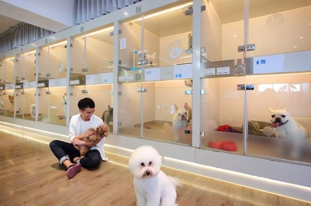 桃園寵物旅館推薦