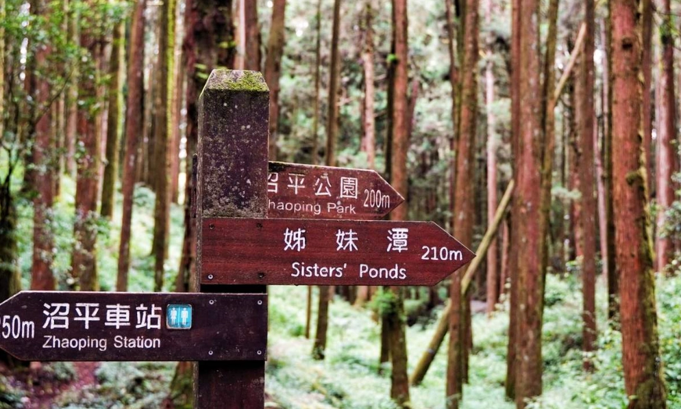 森林遊樂區推薦