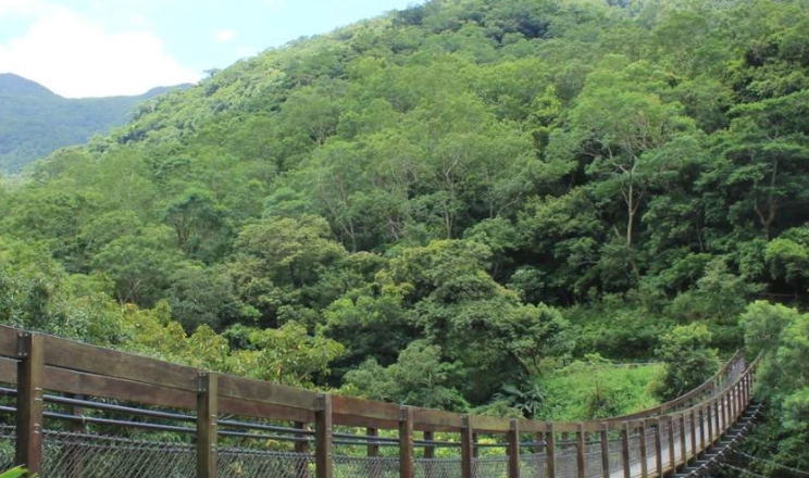 森林遊樂區門票