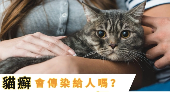 如何預防貓癬傳染