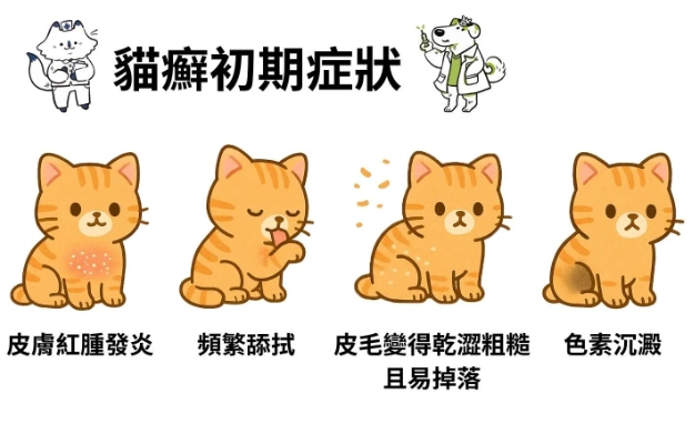 貓癬治療方法