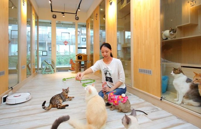 寵物寄宿家庭注意事項