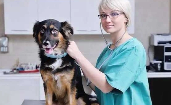 寵物疫苗副作用