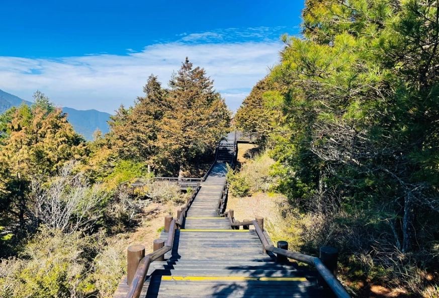 森林遊樂區門票