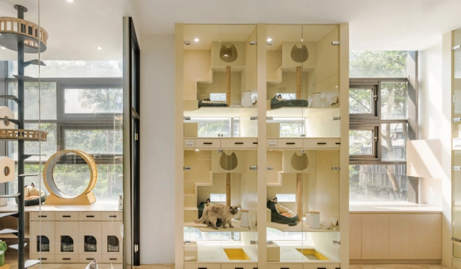 寵物寄宿家庭比較