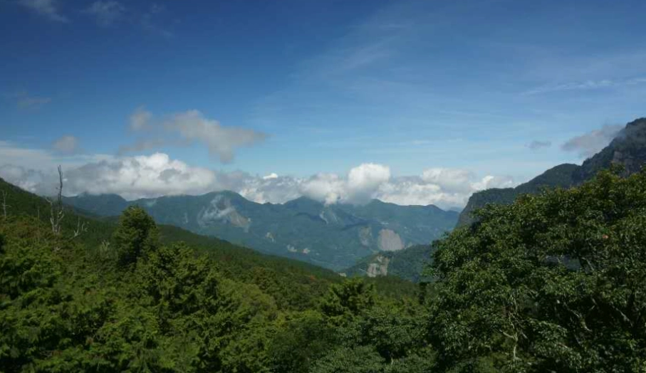 國家森林遊樂區數量