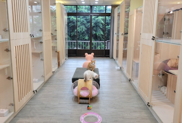 新竹寵物旅館價格