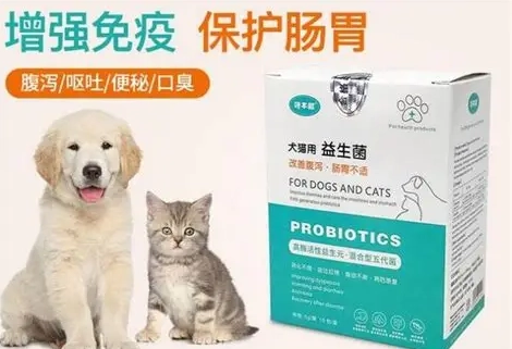 益生菌對狗的好處