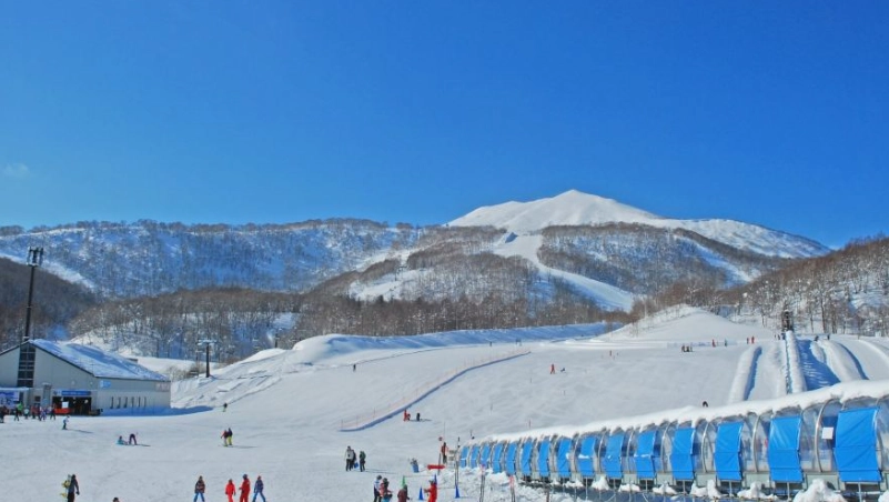 新雪谷滑雪初學者