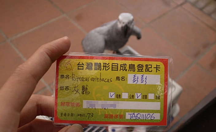 補發寵物登記證流程