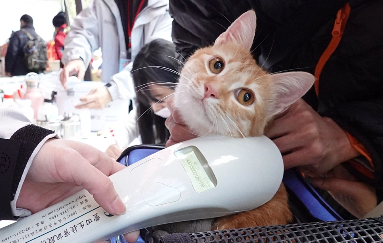 寵物晶片登記變更