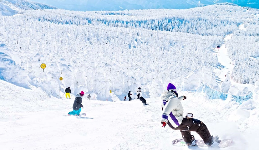日本滑雪場比較