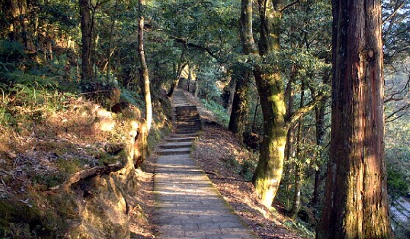 嘉義夜間親子遊