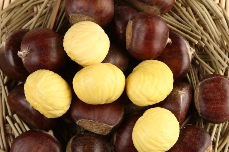 栗子吃不完處理