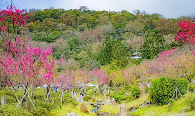 情人節台北活動