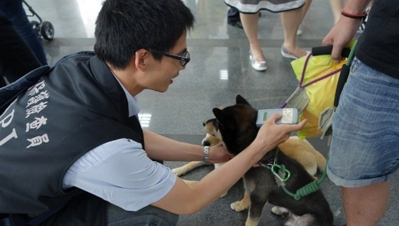 寵物晶片規定